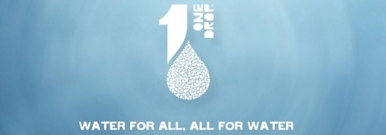 ONE DROP Foundation Logo